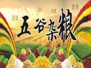 五谷為養(yǎng)：中醫(yī)教你怎么吃五谷雜糧最營(yíng)養(yǎng)