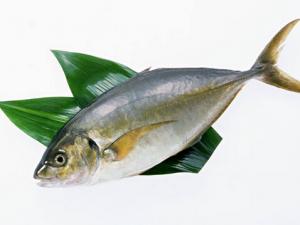 魚(yú)刺卡在喉嚨里怎么辦？取喉嚨魚(yú)刺技巧