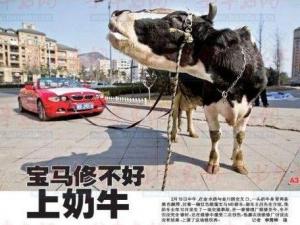 奶牛拉著寶馬車上馬路 車主維修受挫上演維權(quán)秀