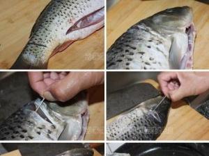 鯉魚去腥線方法：怎樣去除鯉魚腥線？鯉魚腥線在哪