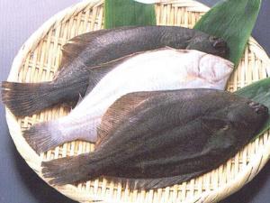 鴉片魚(yú)的營(yíng)養(yǎng)價(jià)值-鴉片魚(yú)的食療作用