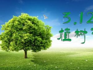 植樹節(jié)是幾月幾日？關(guān)于植樹節(jié)的由來和意義