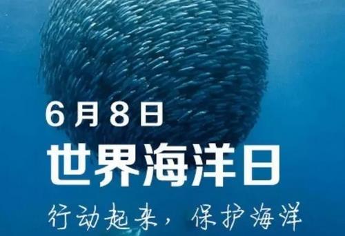 6月8日是什么節(jié)日？世界海洋日是幾月幾日