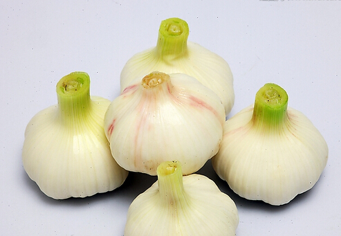 怎么吃大蒜才能有效預(yù)防癌癥？