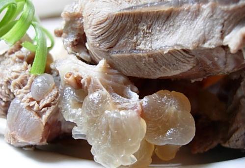 如何燉羊肉？怎么吃羊肉不上火？燉羊肉的做法大全