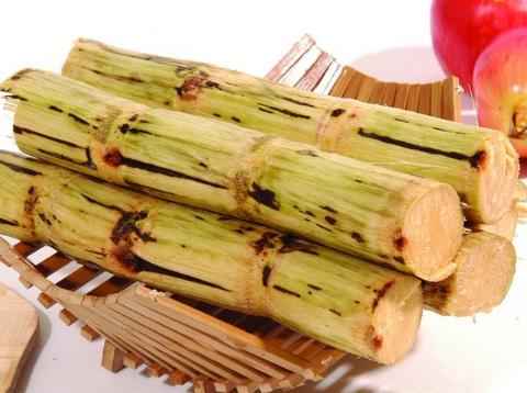 哺乳期能吃甘蔗嗎？哺乳期吃甘蔗有什么好處
