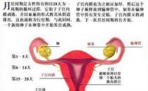 女人必須知道的經(jīng)期秘密 讓你受益無(wú)窮