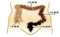 腸道是身體最大“藏毒點”