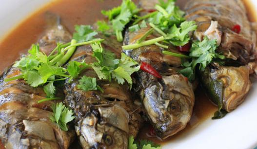 冬季吃哪些魚(yú)養(yǎng)生效果好
