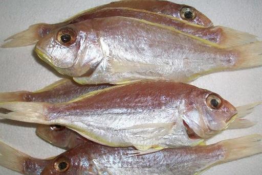 什么是冰鮮食品？如何區(qū)分冰鮮魚和冰凍魚？