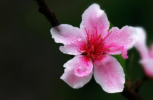祛斑秘方，拯救斑點(diǎn)臉蛋