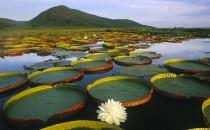 走進(jìn)白洋淀鴛鴦島民俗文化村