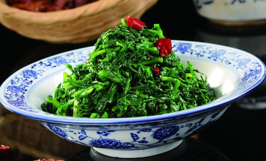 這些野菜能養(yǎng)生你認(rèn)識(shí)幾種？