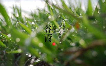 【谷雨節(jié)氣】谷雨是幾月幾日_谷雨吃什么_谷雨養(yǎng)生_谷雨是什么意思