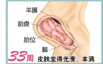 【懷孕33周】懷孕33周發(fā)育指標(biāo)_懷孕33周胎兒變化_媽媽狀態(tài)_懷孕33周注意事項(xiàng)