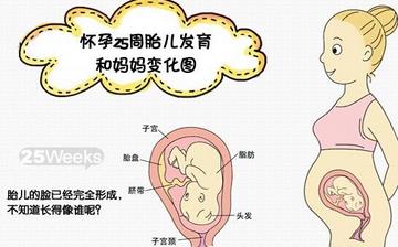 【懷孕25周】懷孕25周癥狀_懷孕25周胎兒變化_媽媽狀態(tài)_懷孕25周注意事項