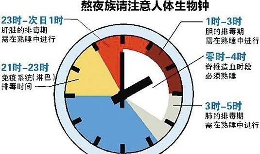 生物鐘的功能有哪些？生物鐘顛倒怎么辦