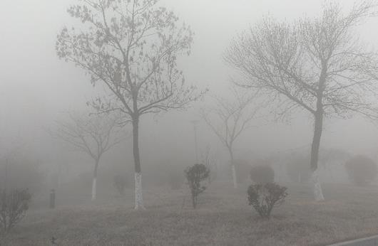 霧霾天應(yīng)該怎鍛煉