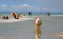 去西藏旅游 高原反應頭疼的應對方法