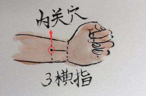 人體與生帶有自強(qiáng)的按鈕 推拿按摩4大穴位強(qiáng)身健體