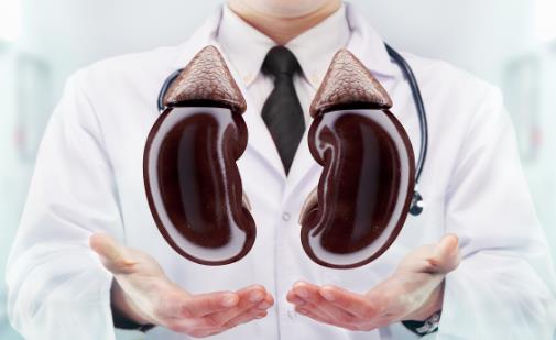 胡亂吃藥小心傷害你的腎 腎臟不好的日常調(diào)理分析