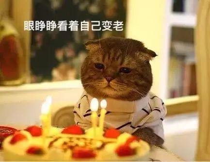 不同類型的肉冷凍保存時間不同，吃僵尸肉有危害嗎，如何辨別