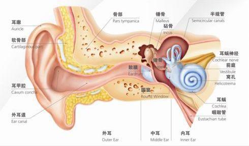 刺啦！聽到了粉筆劃過黑板的聲音 為什么會(huì)讓你抓狂？